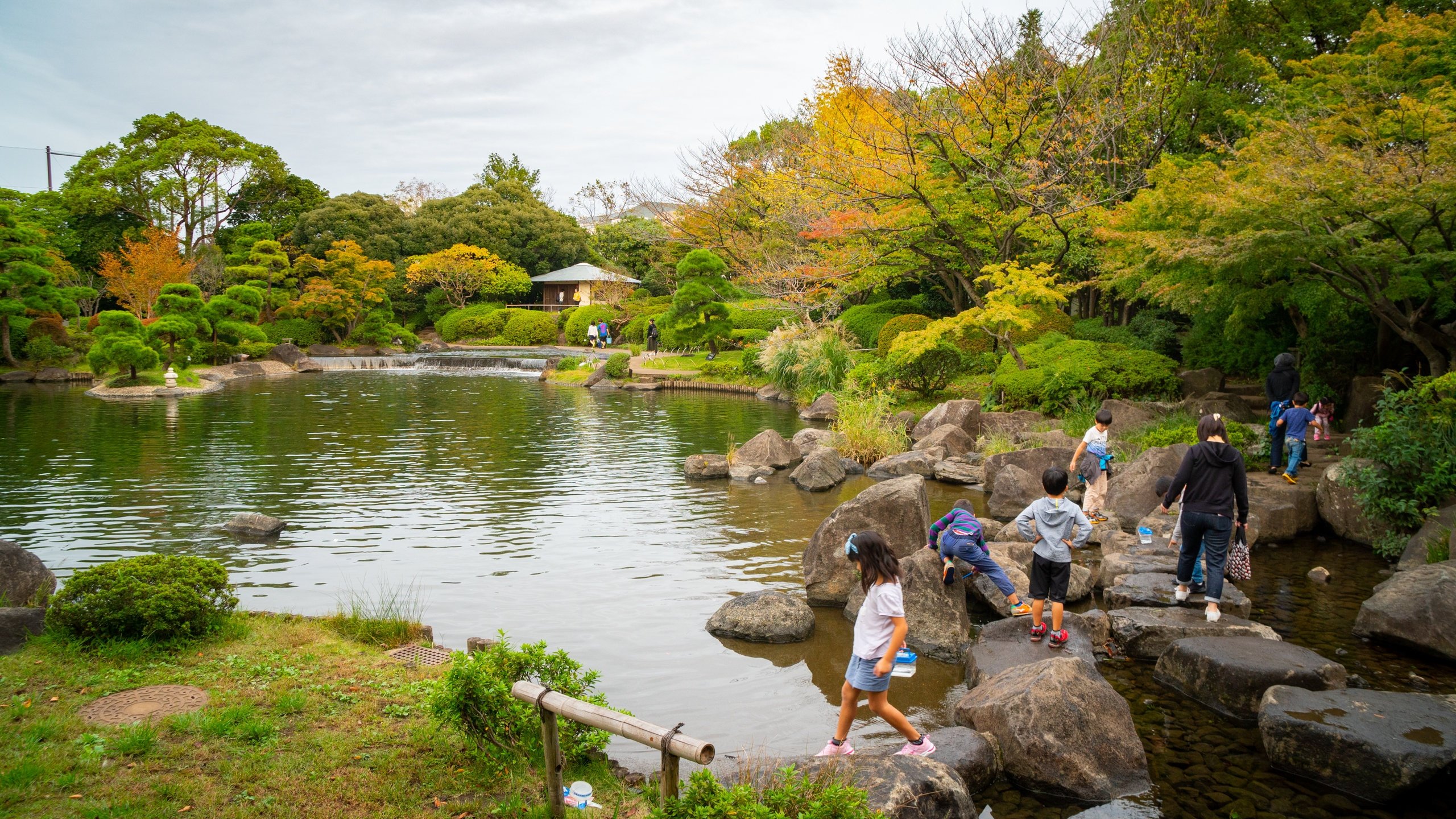 🌳 에도가와구 자연 동물원(에도가와쿠 시젠 도부츠엔) 이미지 3